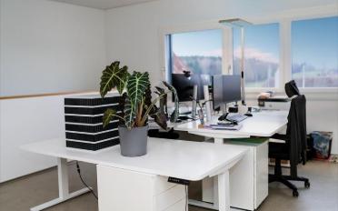 Duplex 3.5 Zimmer - image - 2