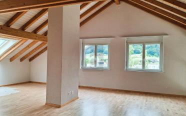 Duplex 5.5 pièces - image - 5
