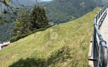 Building land - image - 2