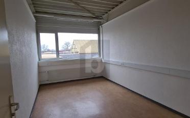 Büro 5 Zimmer - image - 1
