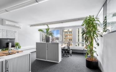 Office 9 rooms - image - 2