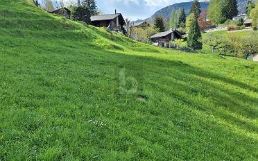 Terrain à bâtir - image - 1