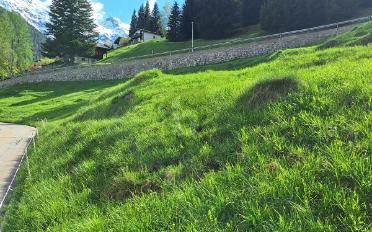Terrain à bâtir - image - 5