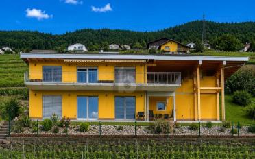 Villa 6.5 pièces - image - 1