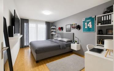 Duplex 5.5 rooms - image - 5