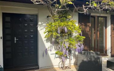 Single house 6 rooms - image - 1
