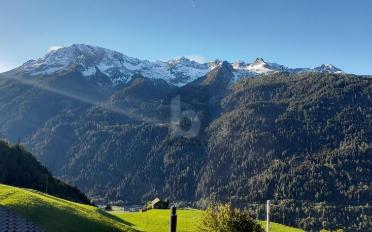 Chalet 8 rooms - image - 2
