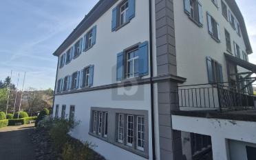 Wohnung 2.5 Zimmer - image - 1