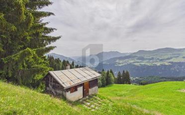 Chalet 2.5 rooms - image - 1