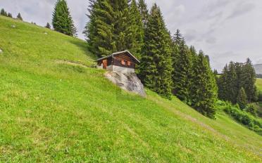 Chalet 2.5 rooms - image - 2