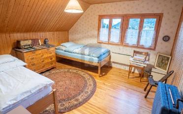 Farm house 12.5 rooms - image - 4