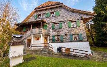 Farm house 12.5 rooms - image - 1