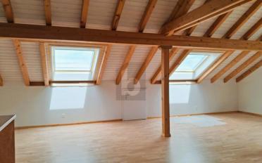 Duplex 5.5 Zimmer - image - 4