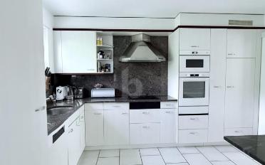 Doppeleinfamilienhaus 6.5 Zimmer - image - 4