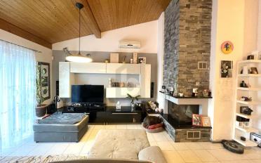 Doppeleinfamilienhaus 9.5 Zimmer - image - 1