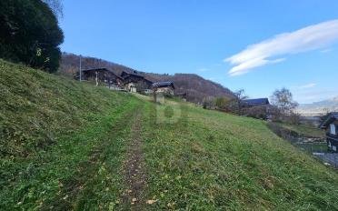 Agricultural land - image - 4