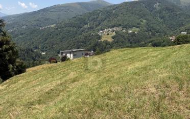 Building land - image - 3