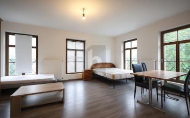 Gemischt genutzte Immobilie 41 Zimmer - image - 2