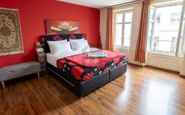 Mixed use property 10 rooms - image - 4