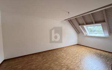 Doppeleinfamilienhaus 5.5 Zimmer - image - 4