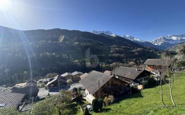 Chalet 7 rooms - image - 2
