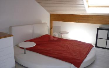 Möbl. Wohnobj. 1.5 Zimmer - image - 3