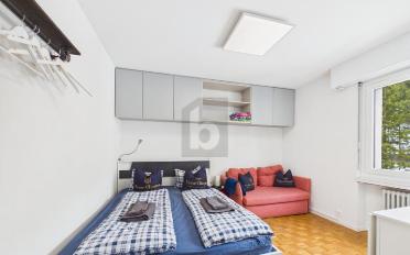 Appartement 1.5 pièces - image - 2