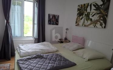 Doppeleinfamilienhaus 8 Zimmer - image - 5
