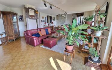 Duplex 6 Zimmer - image - 12