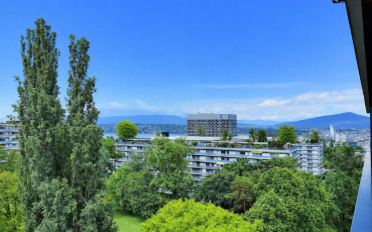 Wohnung 3.5 Zimmer - image - 3