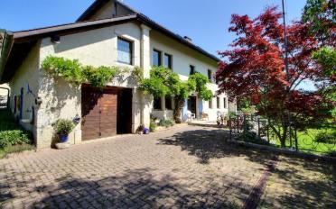 Row house 12 rooms - image - 4