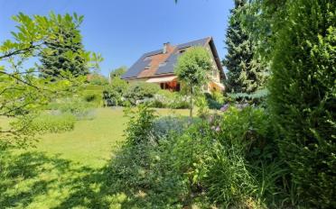 Single house 7 rooms - image - 6