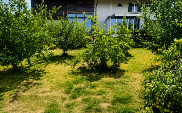 Single house 5.5 rooms - image - 3