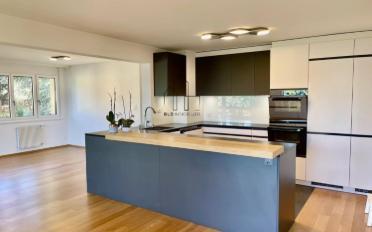 Wohnung 5.5 Zimmer - image - 1