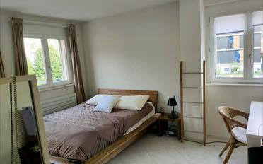 Maison contiguë 5.5 pièces - image - 6