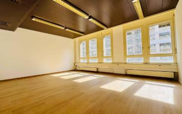Büro 9 Zimmer - image - 11