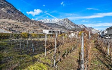 Villa 5.5 pièces - image - 12