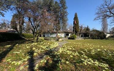 Single house 8 rooms - image - 1