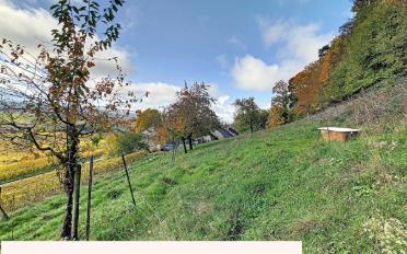 Bauernhaus 20 Zimmer - image - 4