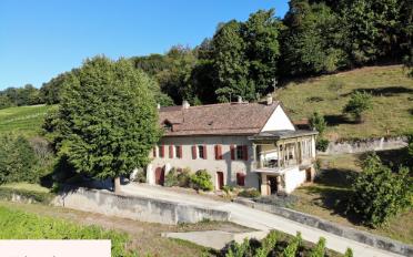 Bauernhaus 20 Zimmer - image - 5