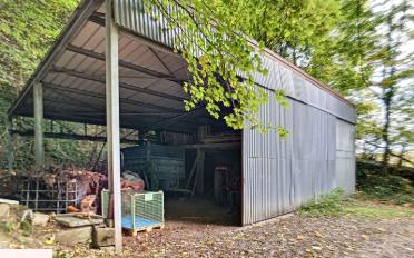 Bauernhaus 20 Zimmer - image - 13