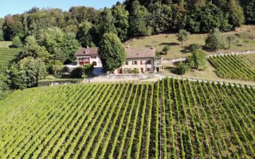 Bauernhaus 20 Zimmer - image - 14