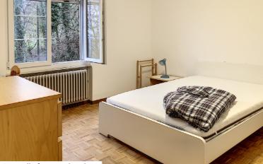 Farm house 20 rooms - image - 12
