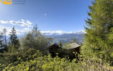 Chalet 5.5 rooms - image - 7