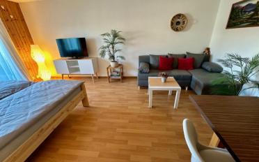 Wohnung ein Zimmer - image - 1