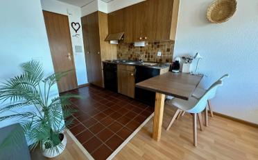 Wohnung ein Zimmer - image - 3
