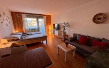 Wohnung ein Zimmer - image - 5