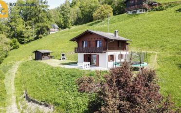 Chalet 4.5 pièces - image - 2