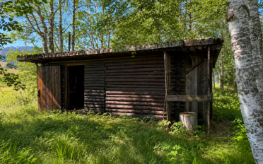 Chalet 1 pièce - image - 1