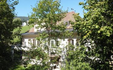 Single house 9.5 rooms - image - 3